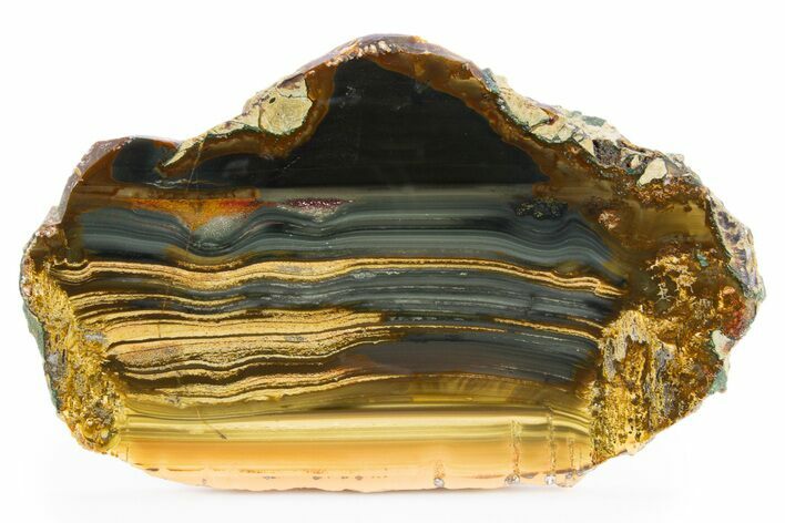 Polished Slab of Blue Mountain Jasper - Oregon #302899